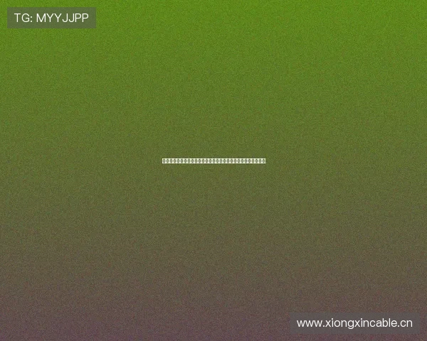 小球话体育，解密运动背后的精彩与激情，畅谈球场上的风云变幻